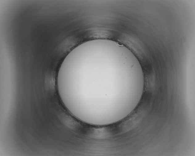 X0000110900309200906251343