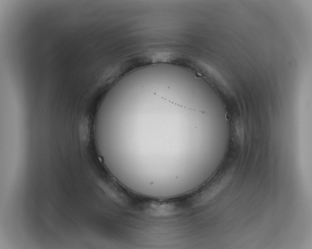X0000110900311200906251343