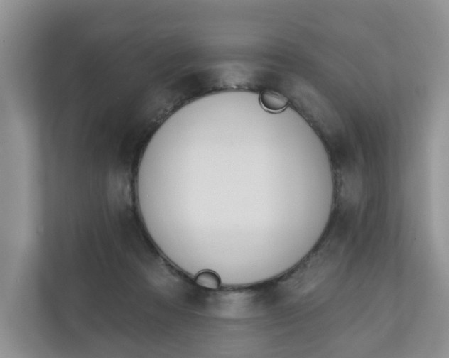 X0000110900313200906251343
