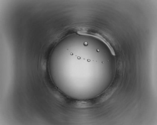 X0000110900315200906251343