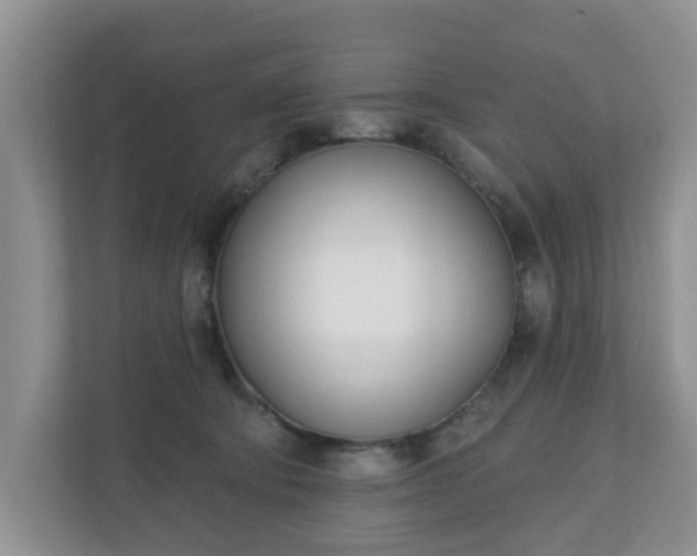 X0000110900322200906251343