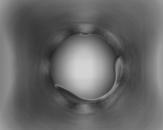 X0000110900325200906251342