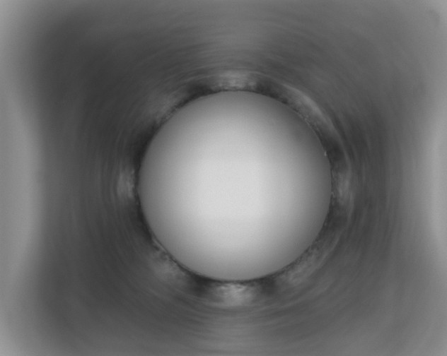 X0000110900326200906251342