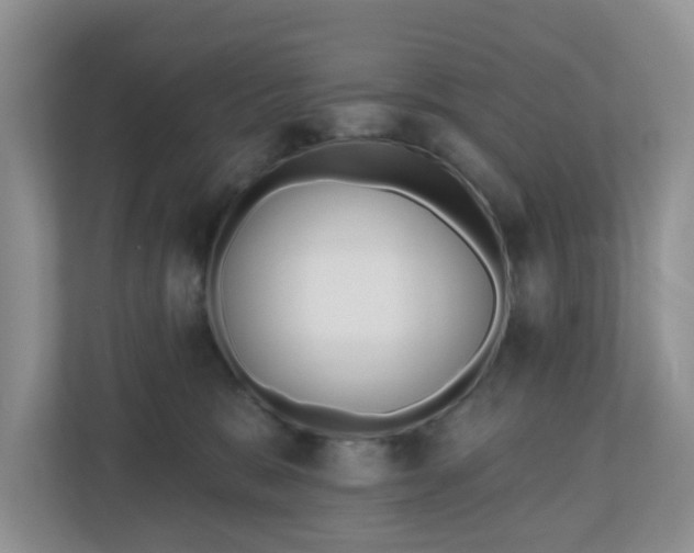 X0000110900327200906251342