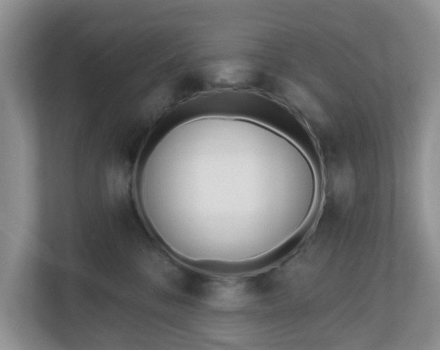 X0000110900328200906251342
