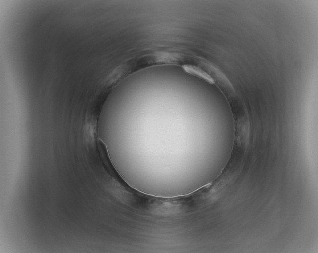 X0000110900329200906251342