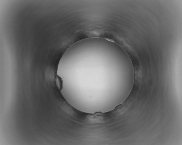 X0000110900331200906251342
