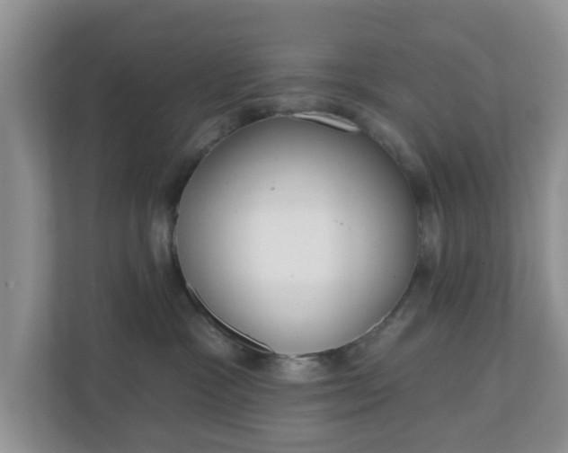 X0000110900333200906251342