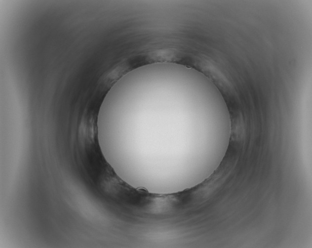 X0000110900334200906251342