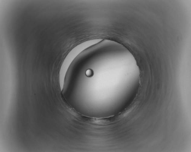 X0000110900336200906251342
