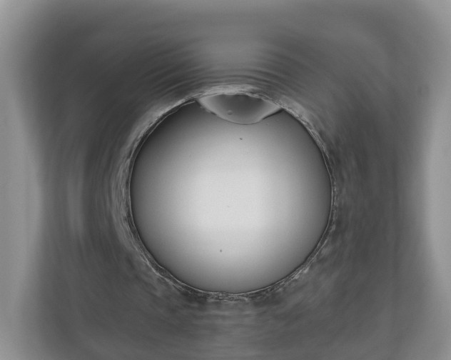 X0000110900337200906251342