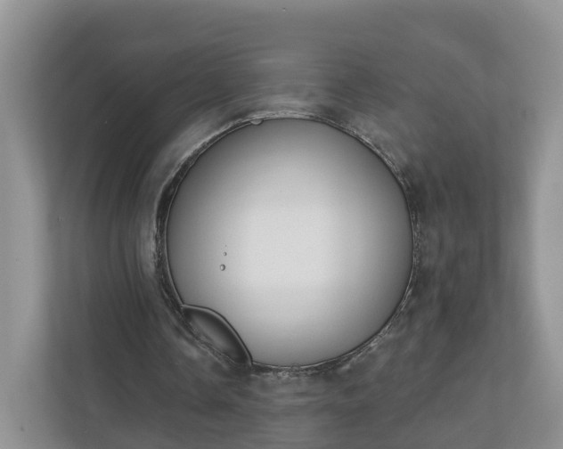 X0000110900338200906251342
