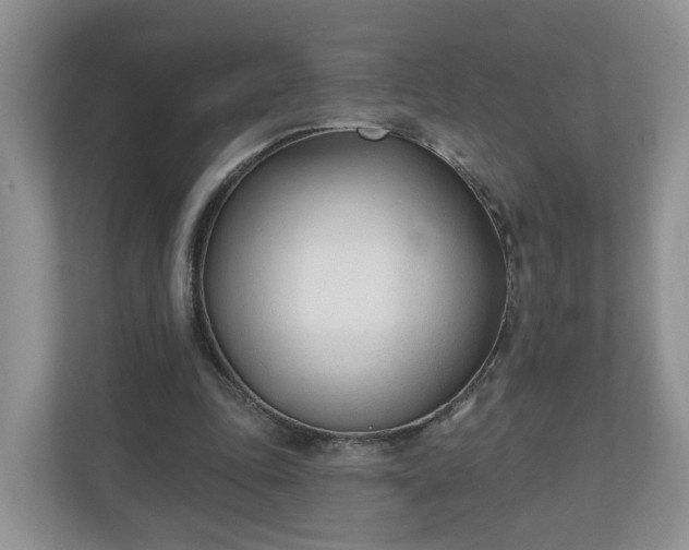 X0000110900343200906251342