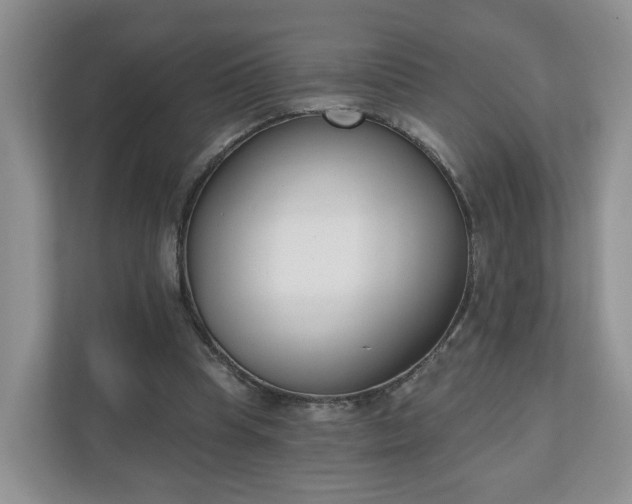 X0000110900345200906251342