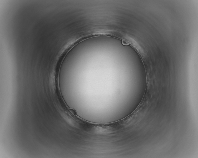 X0000110900346200906251342