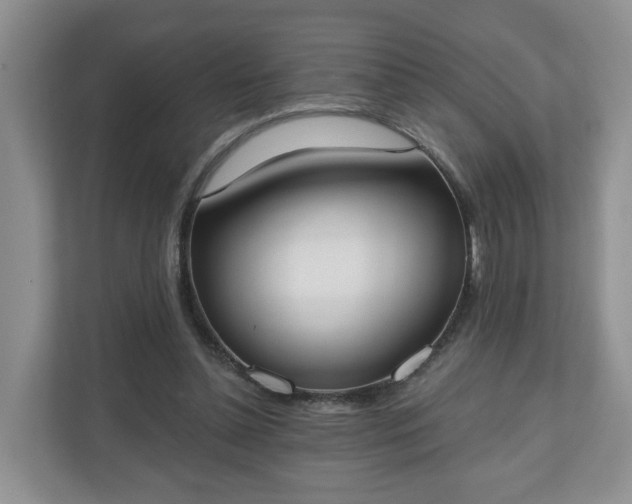 X0000110900348200906251342