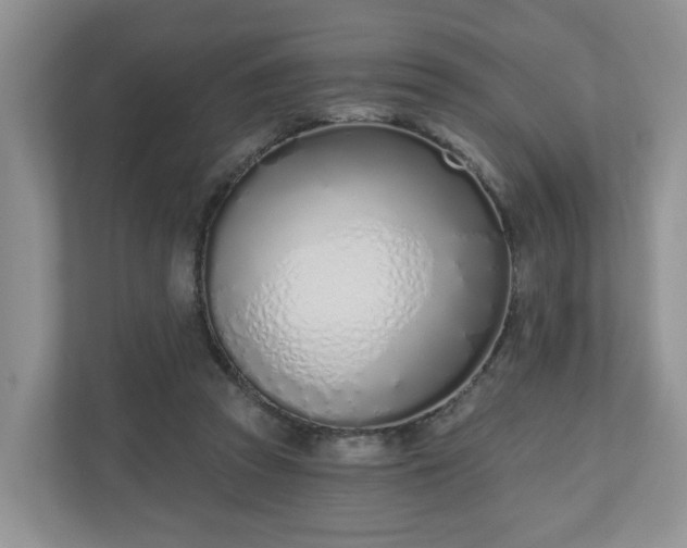 X0000110900353200906251342
