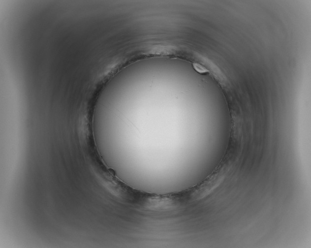 X0000110900354200906251342