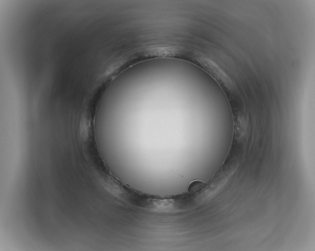X0000110900355200906251342