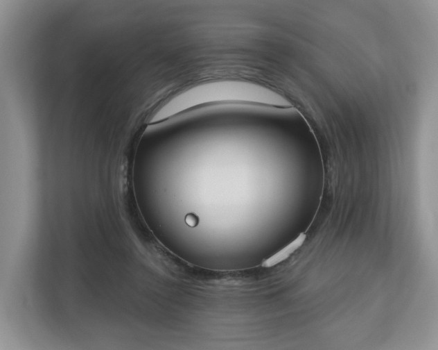 X0000110900356200906251342