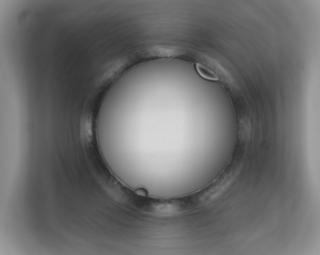 X0000110900358200906251342