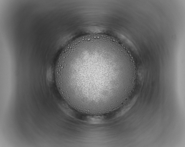 X0000110900359200906251342