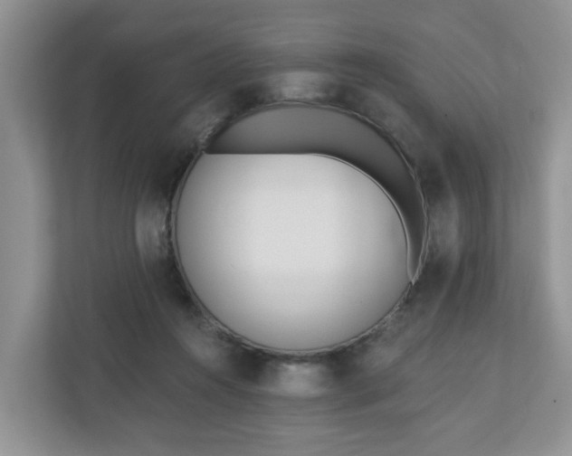 X0000110900360200906251342