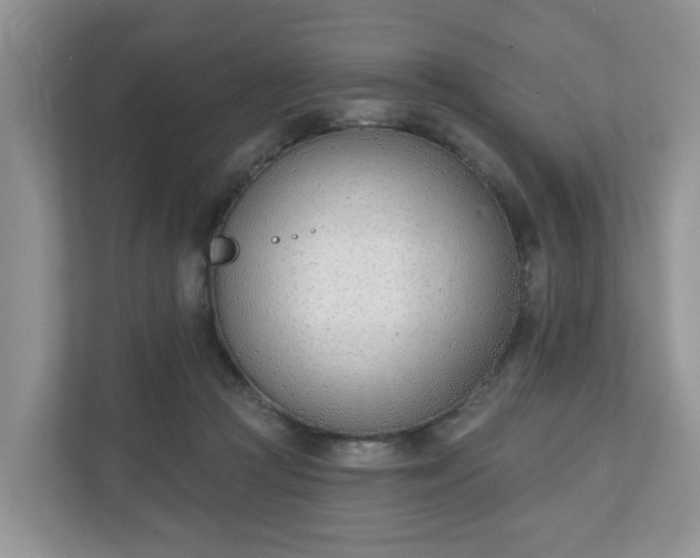 X0000110900361200906251342