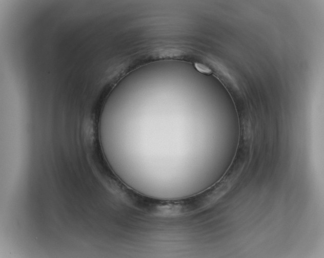 X0000110900362200906251342