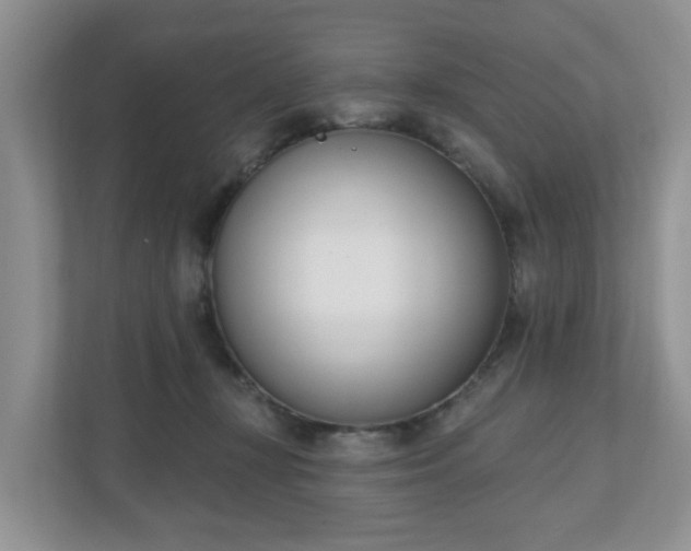 X0000110900367200906251342