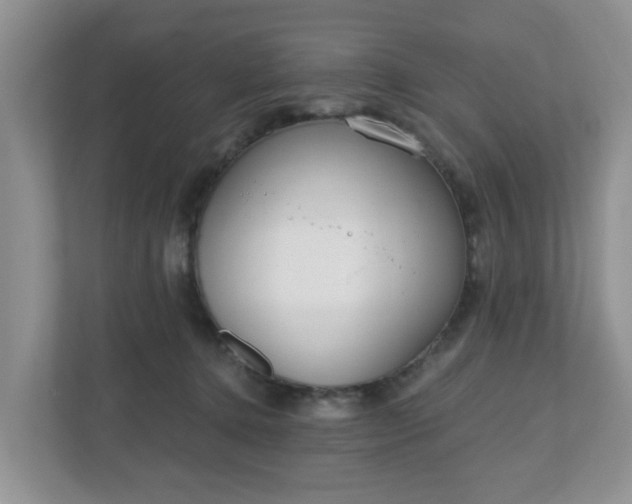 X0000110900368200906251342