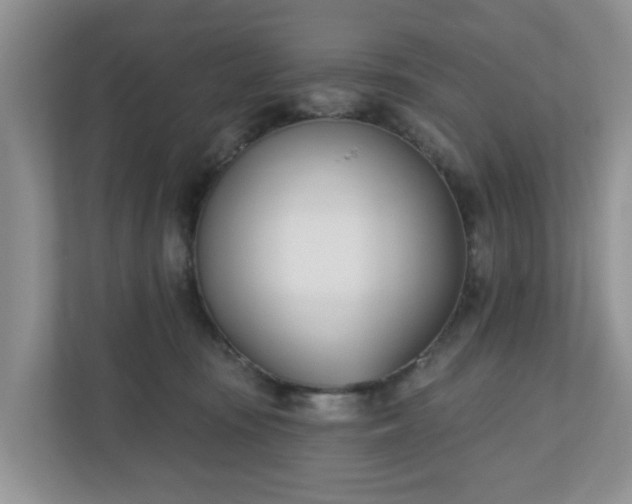 X0000110900371200906251342