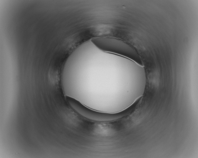 X0000110900372200906251342