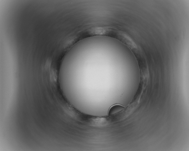 X0000110900374200906251342