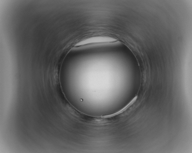 X0000110900376200906251342