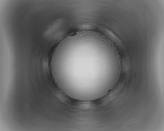 X0000110900377200906251342