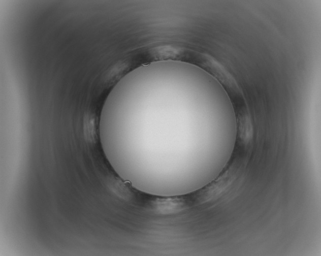 X0000110900378200906251342