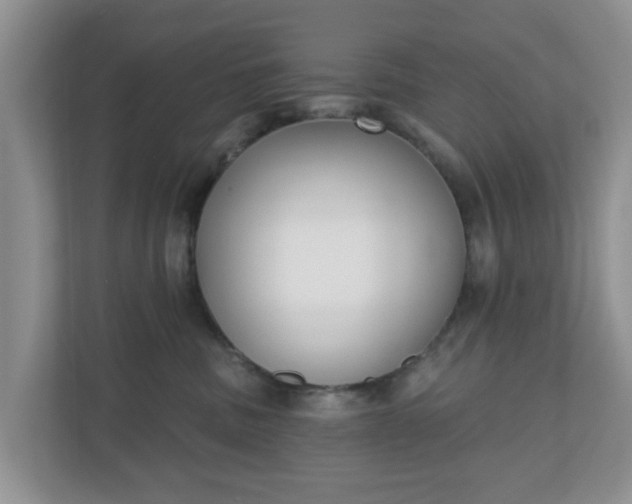 X0000110900379200906251342