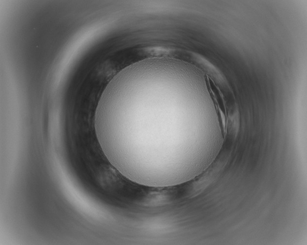 X0000110900381200906251342