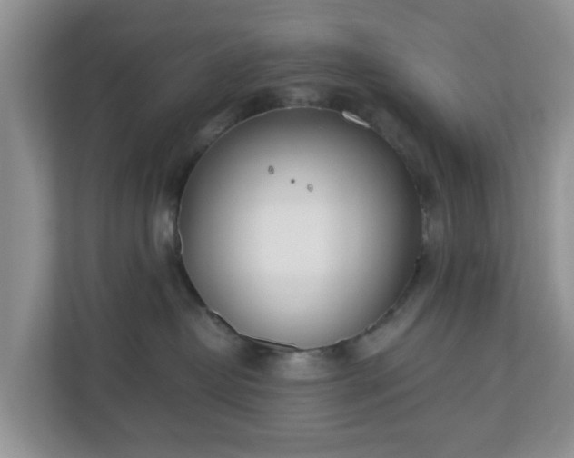 X0000110900382200906251342
