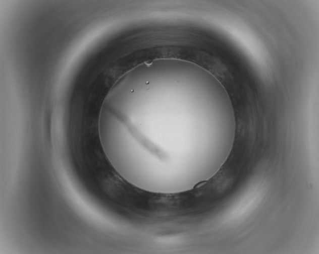 X0000110900383200906251342
