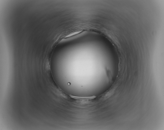 X0000110900384200906251342