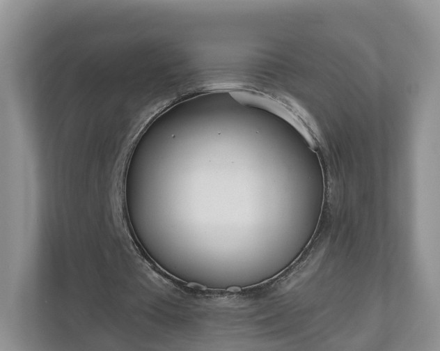 X0000110900385200906251342