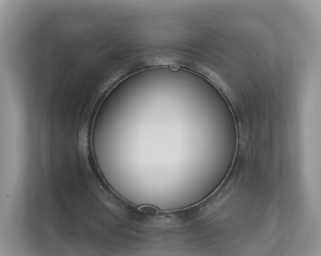 X0000110900386200906251342