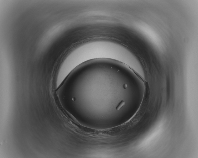 X0000110900387200906251342