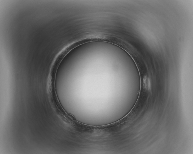 X0000110900388200906251342