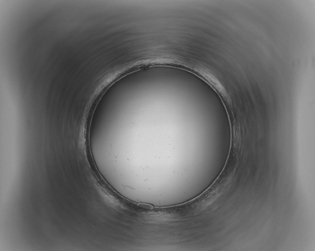 X0000110900389200906251342