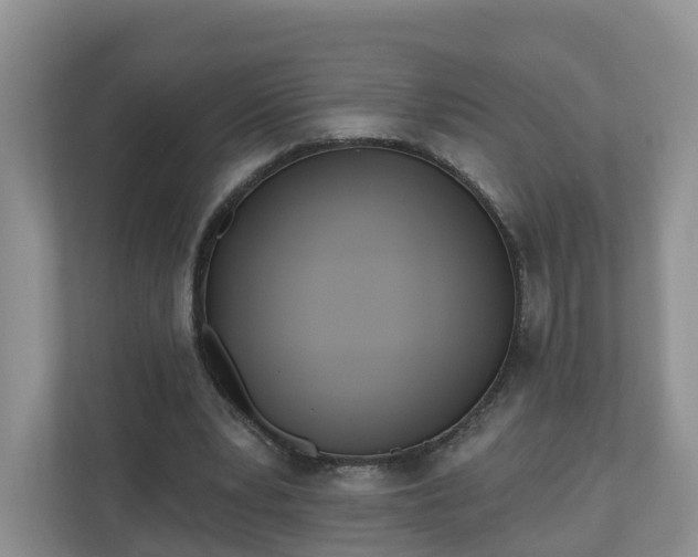 X0000110900391200906251342