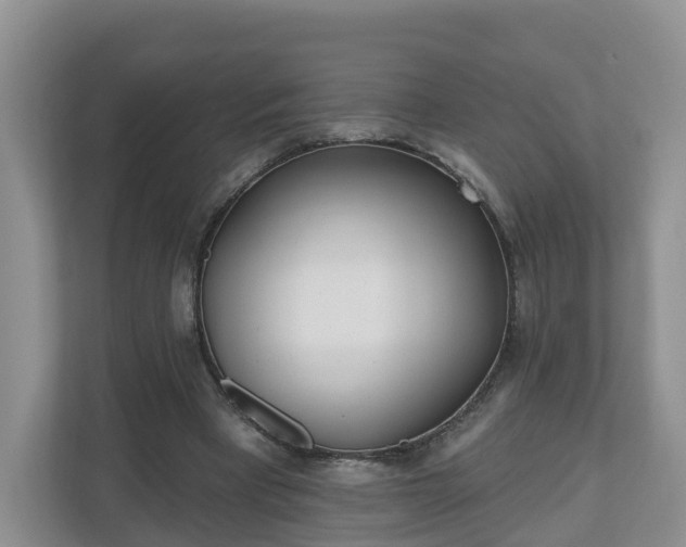 X0000110900393200906251342