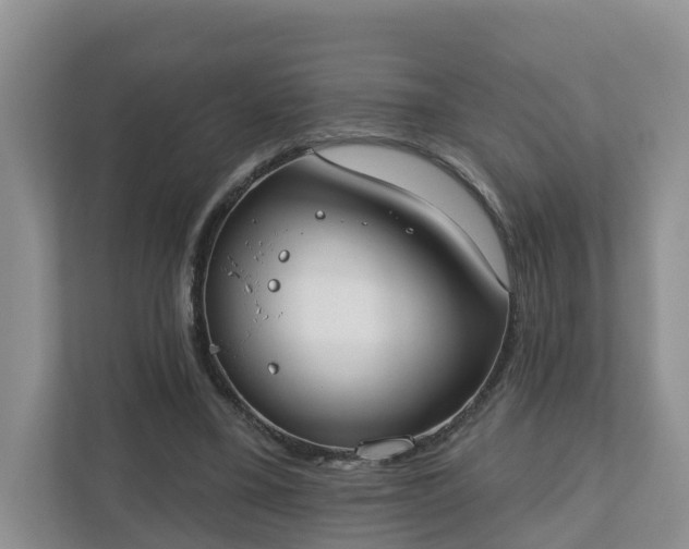 X0000110900395200906251342